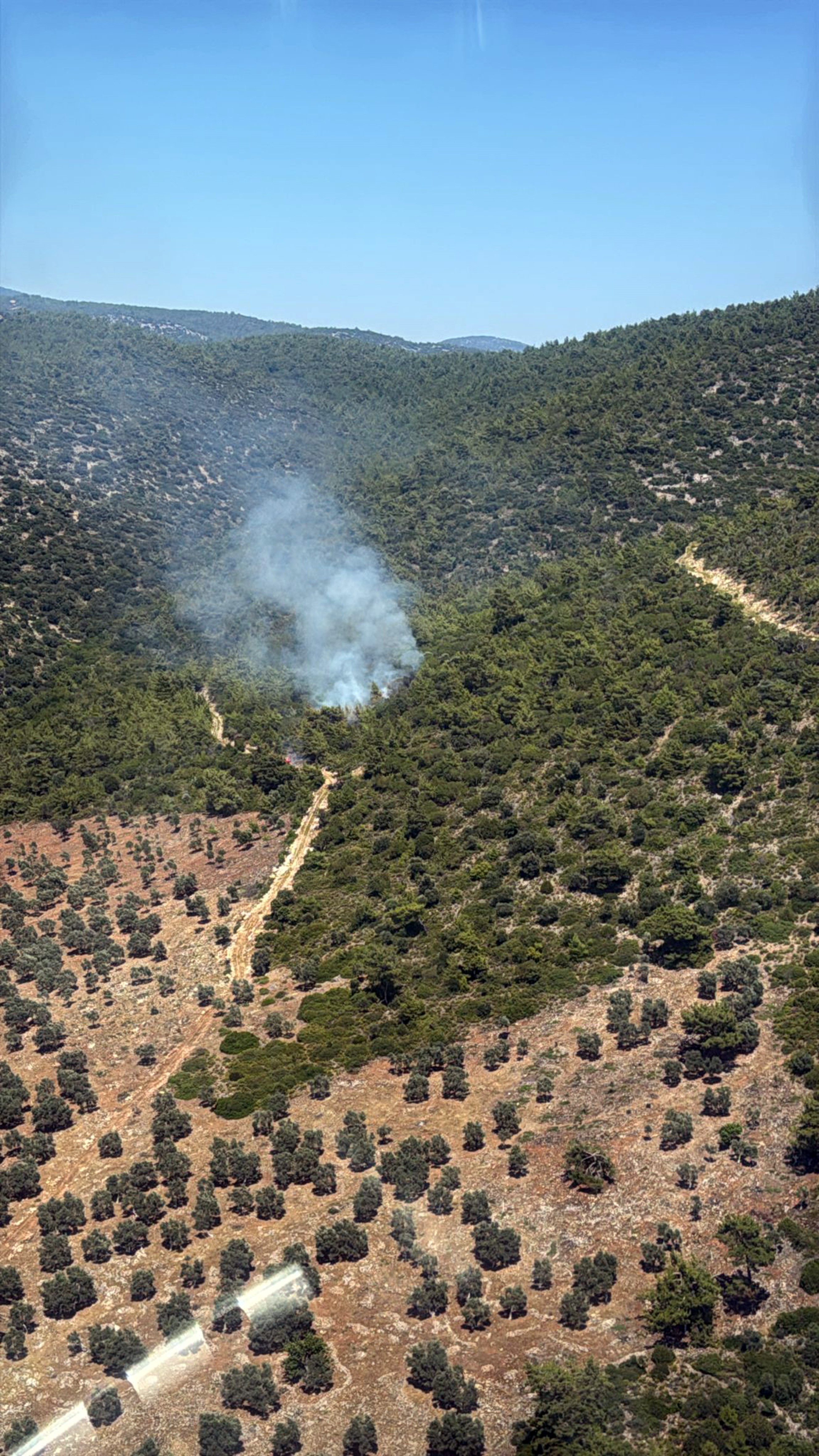 Milas Kazıklı Koyu'nda makilik alanda yangın çıktı