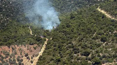 Milas Kazıklı Koyu'nda makilik alanda yangın çıktı