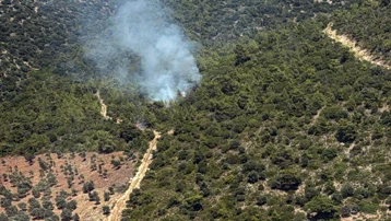 Milas Kazıklı Koyu'nda makilik alanda yangın çıktı