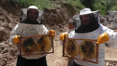 Gelin-görümce el ele verdi. 5 kovanla başladılar, şimdi siparişlere yetişemiyorlar