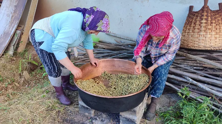 Tek başına yapılacak iş değil, tek tek ayıklanıyor. Bir günlük emek kazanda 4 kiloya dönüşüyor 2