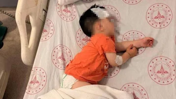 Şanlıurfa'daki köpek saldırısına bakanlık incelemesi