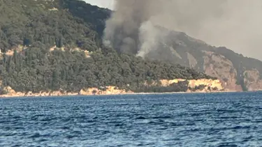 Büyükada'da plajda çıkan yangın ormana sıçradı