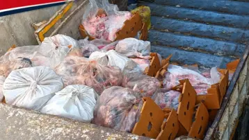 Sakarya'da 5 buçuk ton etiketsiz et ele geçirildi