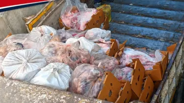 Sakarya'da 5 buçuk ton etiketsiz et ele geçirildi