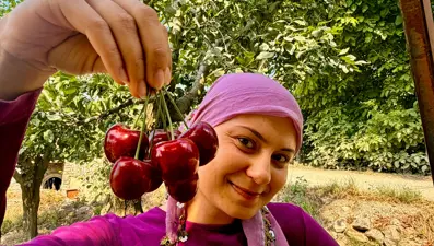 Fiyatı açıklandı, hasat başladı. Dünyaca ünlü, kilosu 60 TL