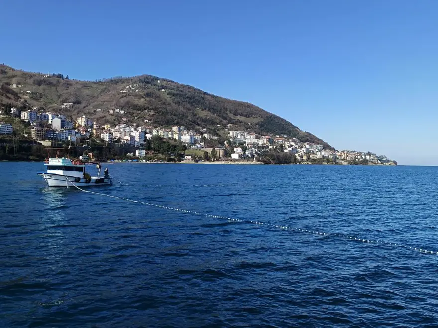 ORDU 1