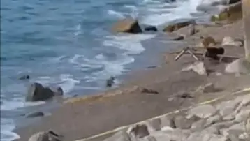 Filyos Sahili'ne askeri İHA vurdu. İnceleme başlatıldı