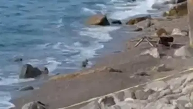 Filyos Sahili'ne askeri İHA vurdu. İnceleme başlatıldı