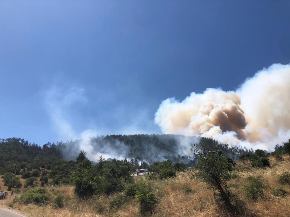 Balıkesir Kepsut'ta Orman Yangınına Müdahale Ediliyor