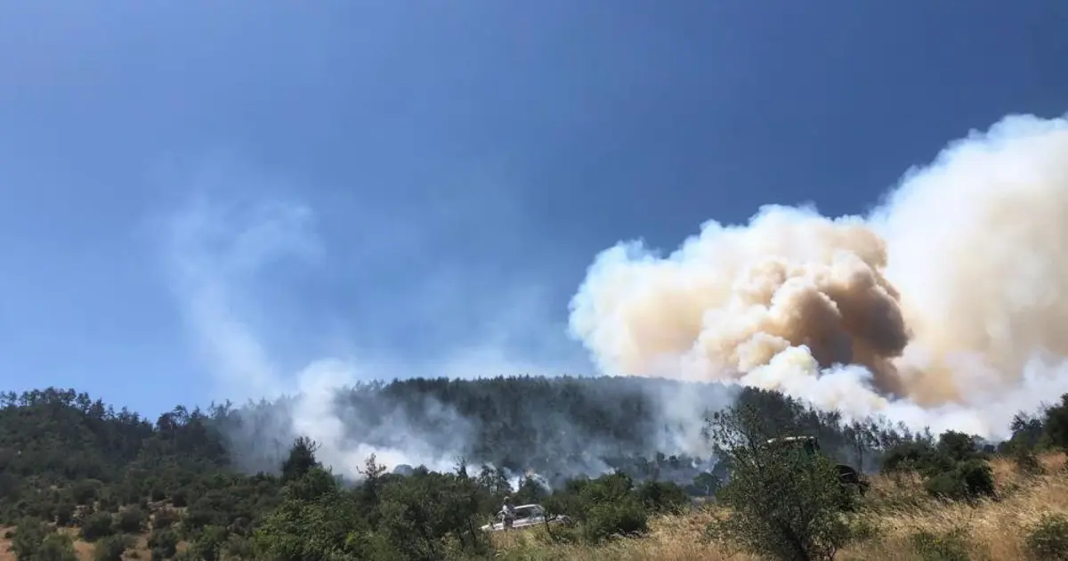 Balıkesir'de orman yangını