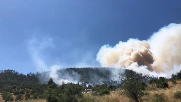 Balıkesir'de orman yangını