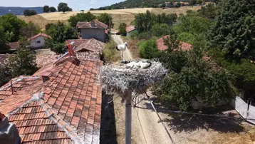 Her yıl aynı köye dönüyorlar. Pencerelere kadar geliyorlar