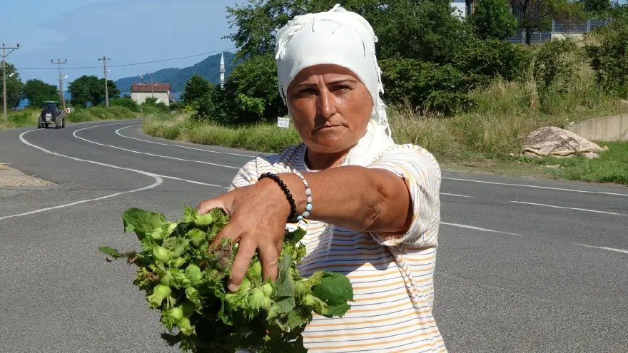 "TURİSTLER TAZE FINDIĞA İLGİ GÖSTERİYOR" 2