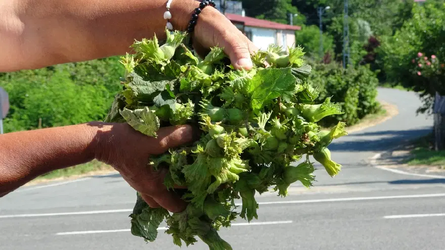 ANKARA'DAN GELDİ, 2 KİLOGRAM ALDI 3