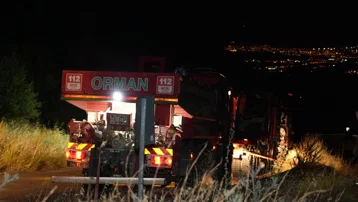 Pamukkale'de orman yangını. Alevler yeniden yükseldi