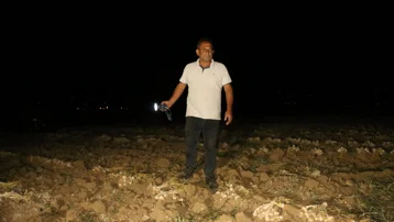 Güneş altında hasat ediyorlar, çalınmasın diye 15 gün boyunca başında nöbet tutuyorlar