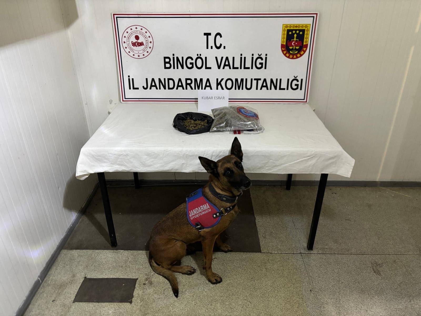 Bingöl'de aranan 4 hükümlü yakalandı