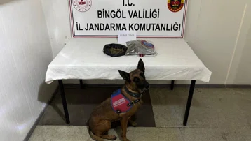Bingöl'de aranan 4 hükümlü yakalandı