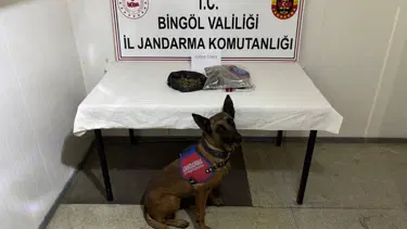 Bingöl'de aranan 4 hükümlü yakalandı