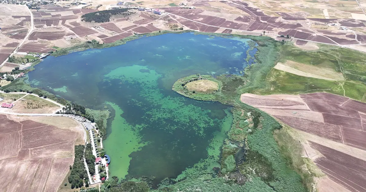 Kuralıkla boğuşuyordu, hayata döndü. Sivas'taki o göl yeniden canlandı