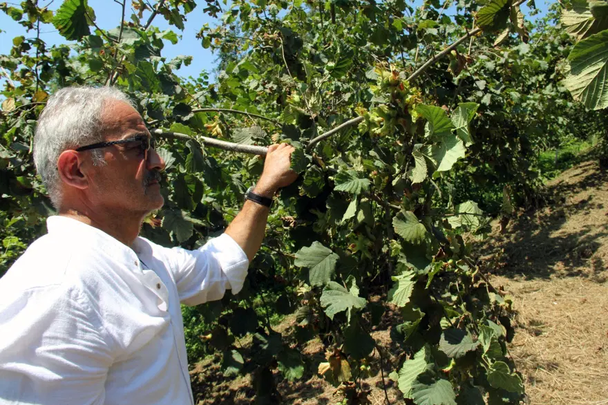 Fiyatlar geriledi, gözler alım fiyatında. 202 liradan işlem görüyor 2