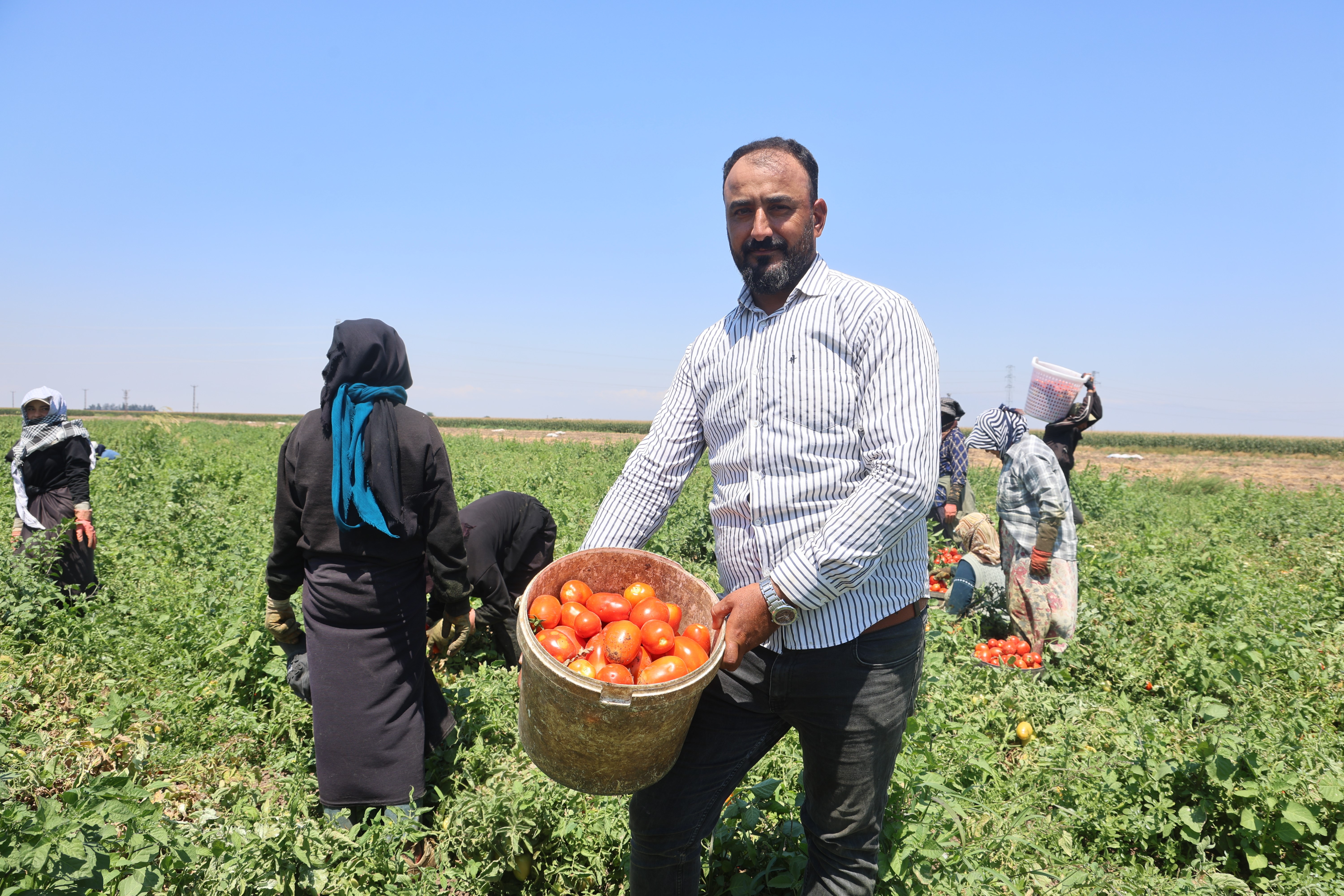 Sabahın ilk ışıklarıyla başlıyor, öğlen 2'de işi bırakıyorlar. 6 saatte 1100 TL'lik kazanç