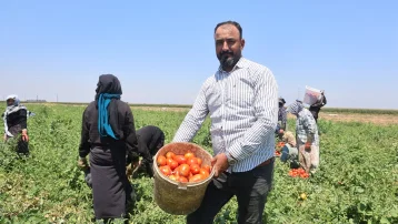 Sabahın ilk ışıklarıyla başlıyor, öğlen 2'de işi bırakıyorlar. 6 saatte 1100 TL'lik kazanç