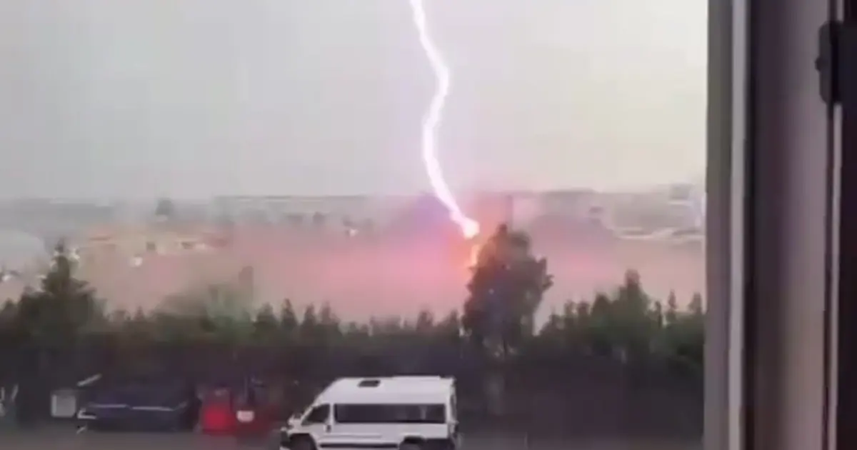 Tekirdağ'da palmiye ağacına yıldırım düştü, alev alev yandı
