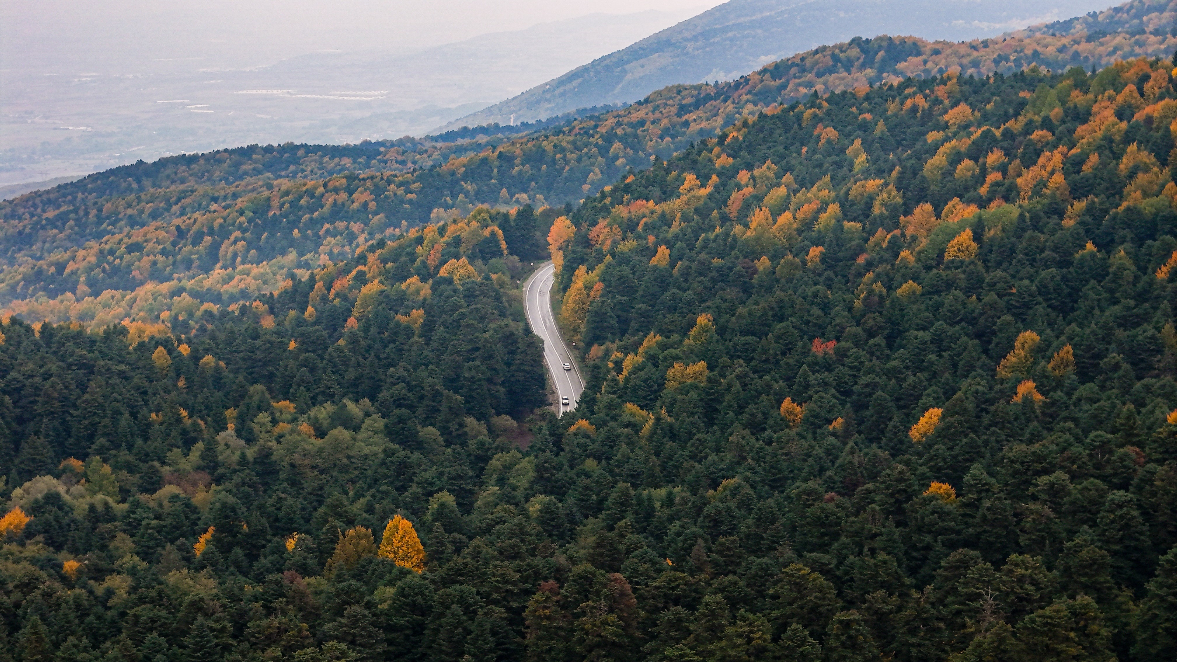 Bolu'da ormanlar ziyarete kapatıldı
