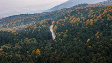 Bolu'da ormanlar ziyarete kapatıldı