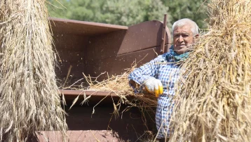 Sapı 60, kaynayanı 100 TL. 40 derece sıcak zorluyor ama sabah iş başındalar