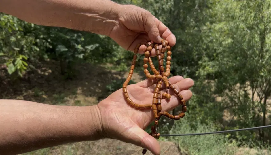 Doğadan topluyor. 10 metrekarede servet kazanıyor 4