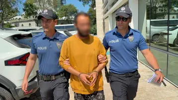 Kediye tekme atan şahıs tutuklandı: "Sinirliydim, pişmanım"