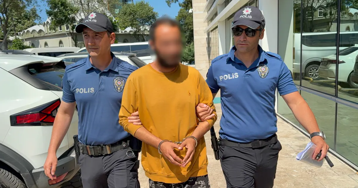 Kediye tekme atan şahıs tutuklandı: "Sinirliydim, pişmanım"