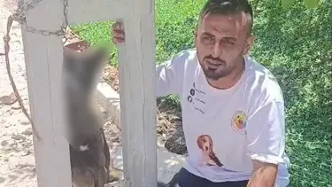 Sahipli köpeği zehirleyip direğe astılar