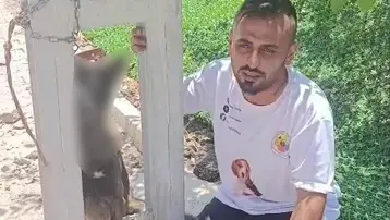 Sahipli köpeği zehirleyip direğe astılar
