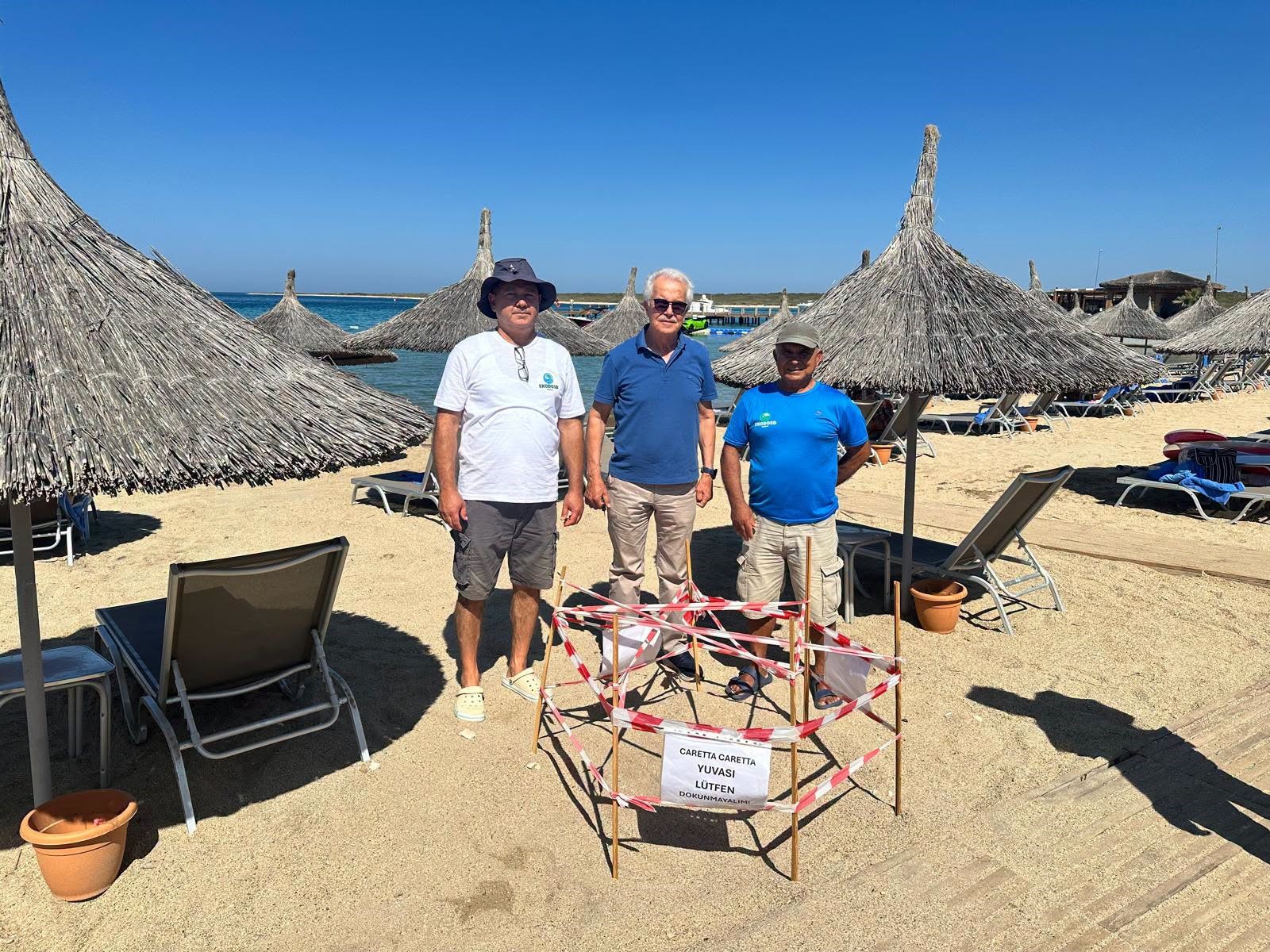 Caretta caretta 5 yıl sonra Didim'de aynı noktaya yuva yaptı