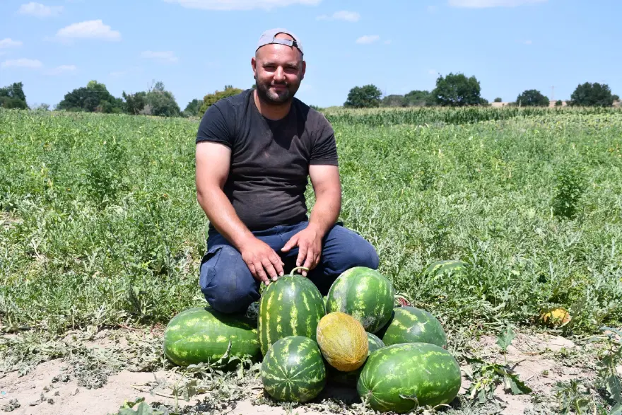 Tek tek seçerek hasat ediyor, tezgahta yerini aldı. Lezzetini kumlu toprak yapısı veriyor 1