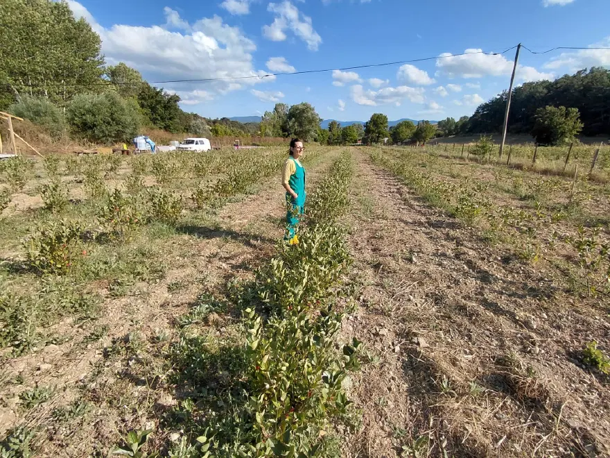 ADETA ŞİFA KAYNAĞI 1