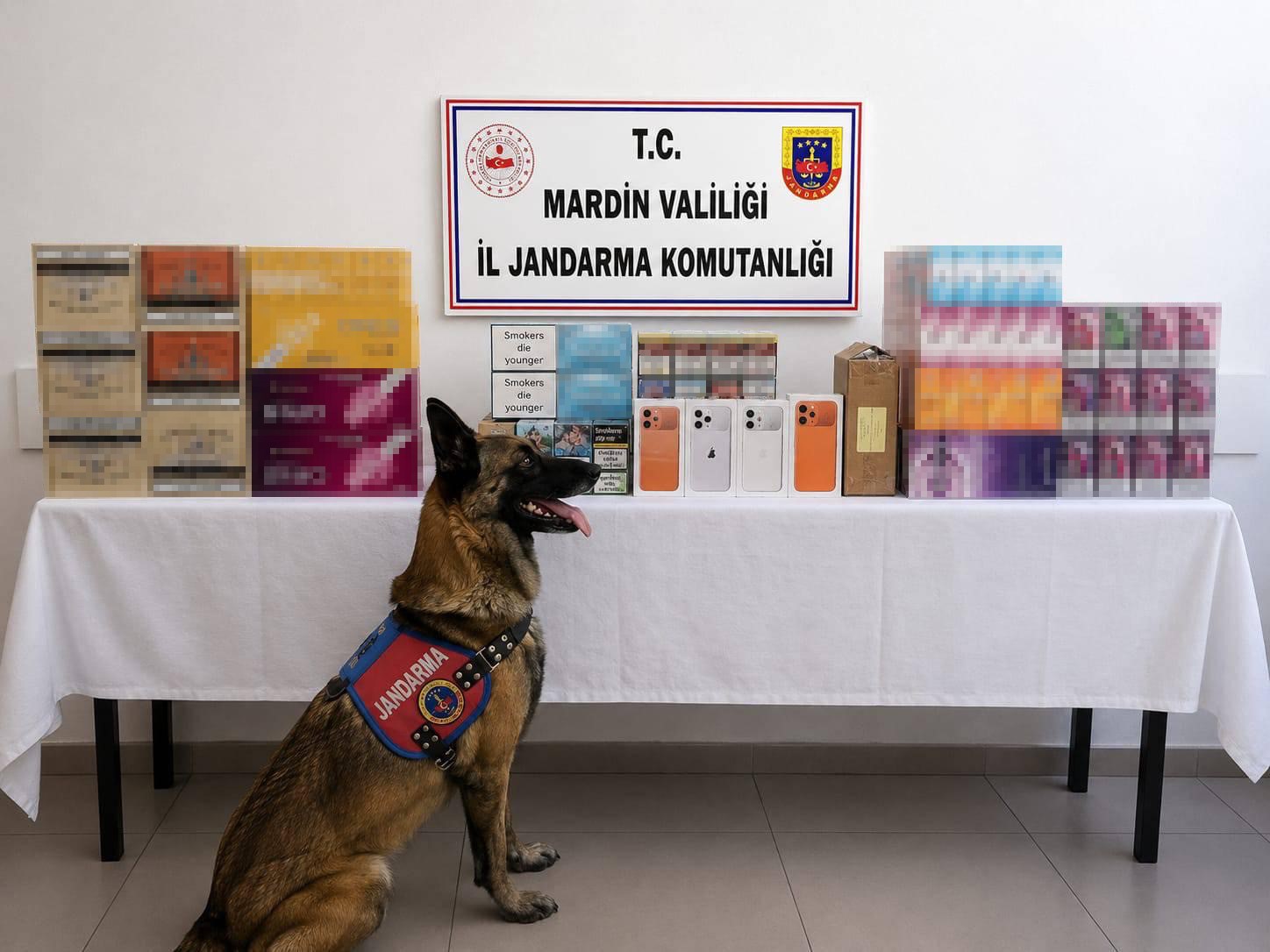 Mardin'de binlerce kaçak ürün ele geçirildi