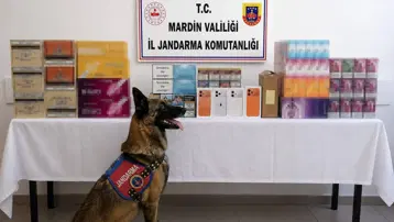 Mardin'de binlerce kaçak ürün ele geçirildi