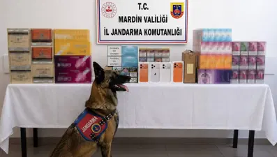Mardin'de binlerce kaçak ürün ele geçirildi