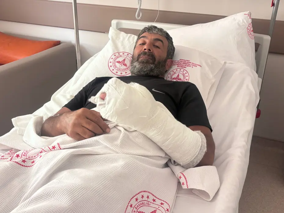 Ayı saldırısından yaralı kurtuldu. 