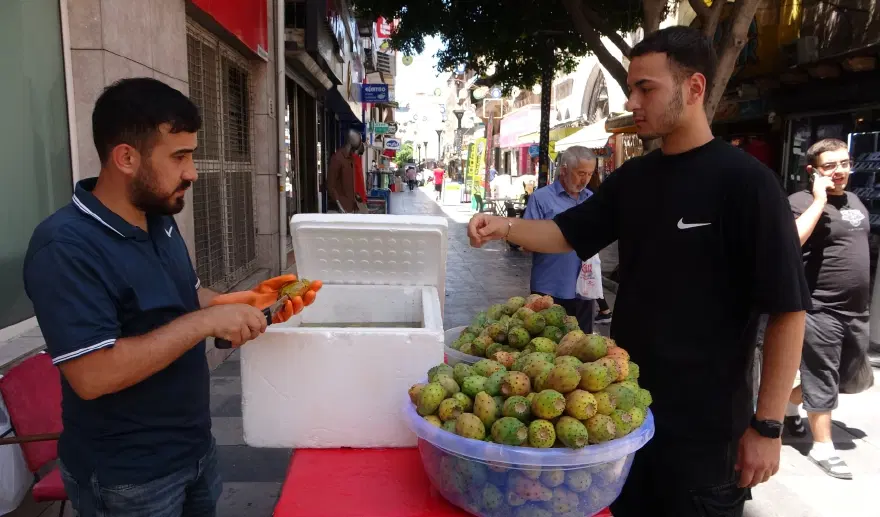 Mersin'de kendi kendine yetişiyor. Seyyar tezgahta var: Doğal C vitamini takviyesi 2
