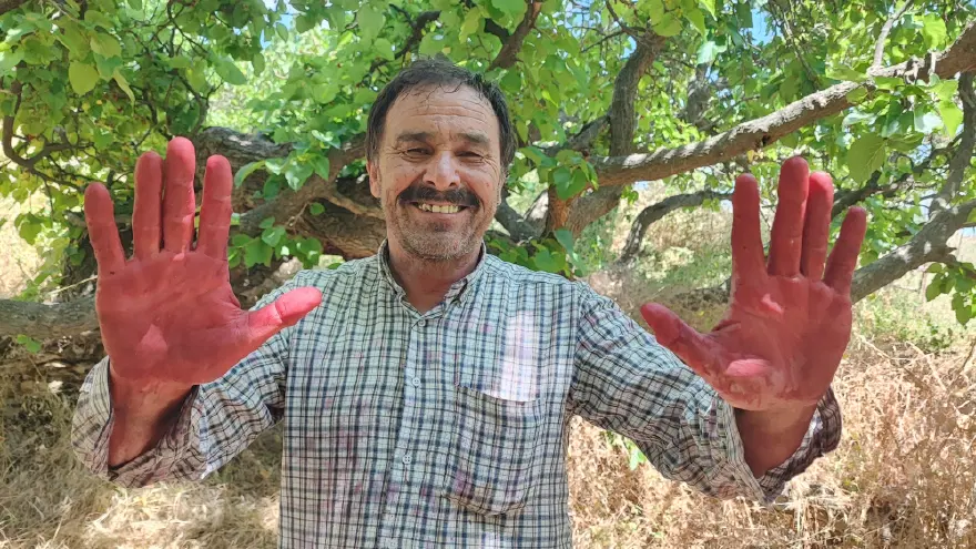 Yozgat'ta 700 yıllık sır. "3-5 köy birleşse de bitiremiyor" 2