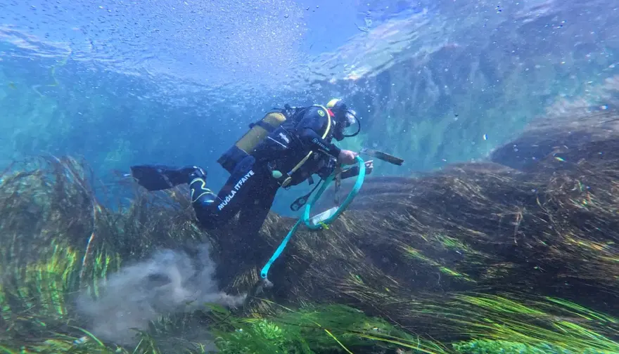 NASA’nın "Vay be!" diyerek paylaştığı Azmak'ta şok görüntü. Dalgıçlar dibe indi, neler çıktı neler NASA’nın "Vay be!" diyerek paylaştığı Azmak'ta şok görüntü. Dalgıçlar dibe indi, neler çıktı neler