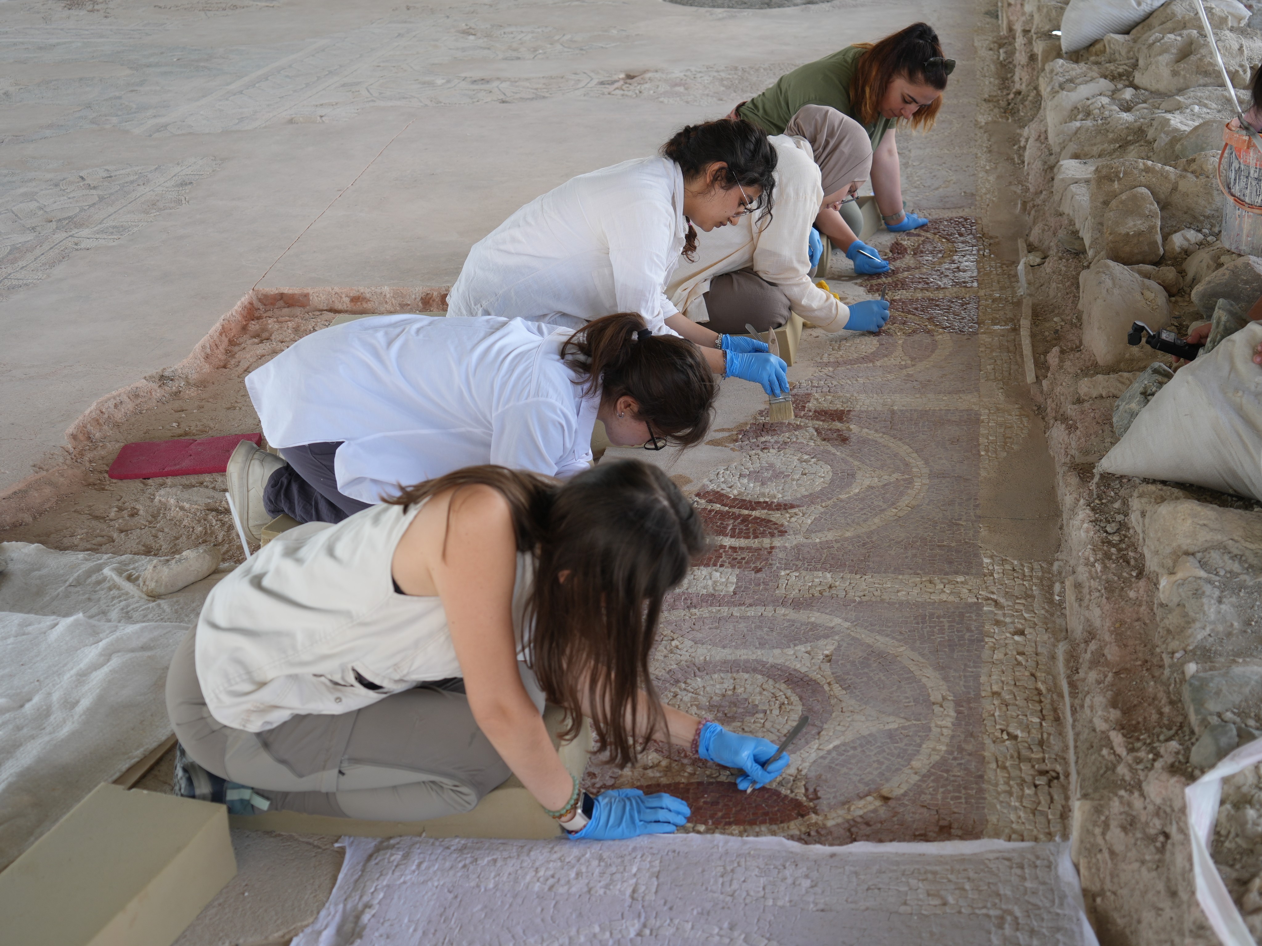 Karadeniz’in Zeugma’sı ortaya çıktı. Anadolu'daki en büyük 3 Roma villasından biri
