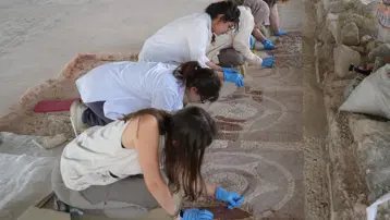 Karadeniz’in Zeugma’sı ortaya çıktı. Anadolu'daki en büyük 3 Roma villasından biri