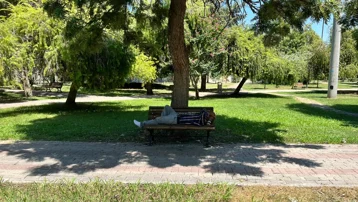 Adana'da sıcaklık çıldırtıyor. "Kaşar gibi eridik, direksiyonu bile eldivenle tutuyoruz"